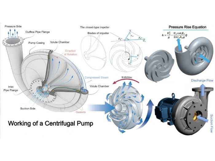 blade of impeller